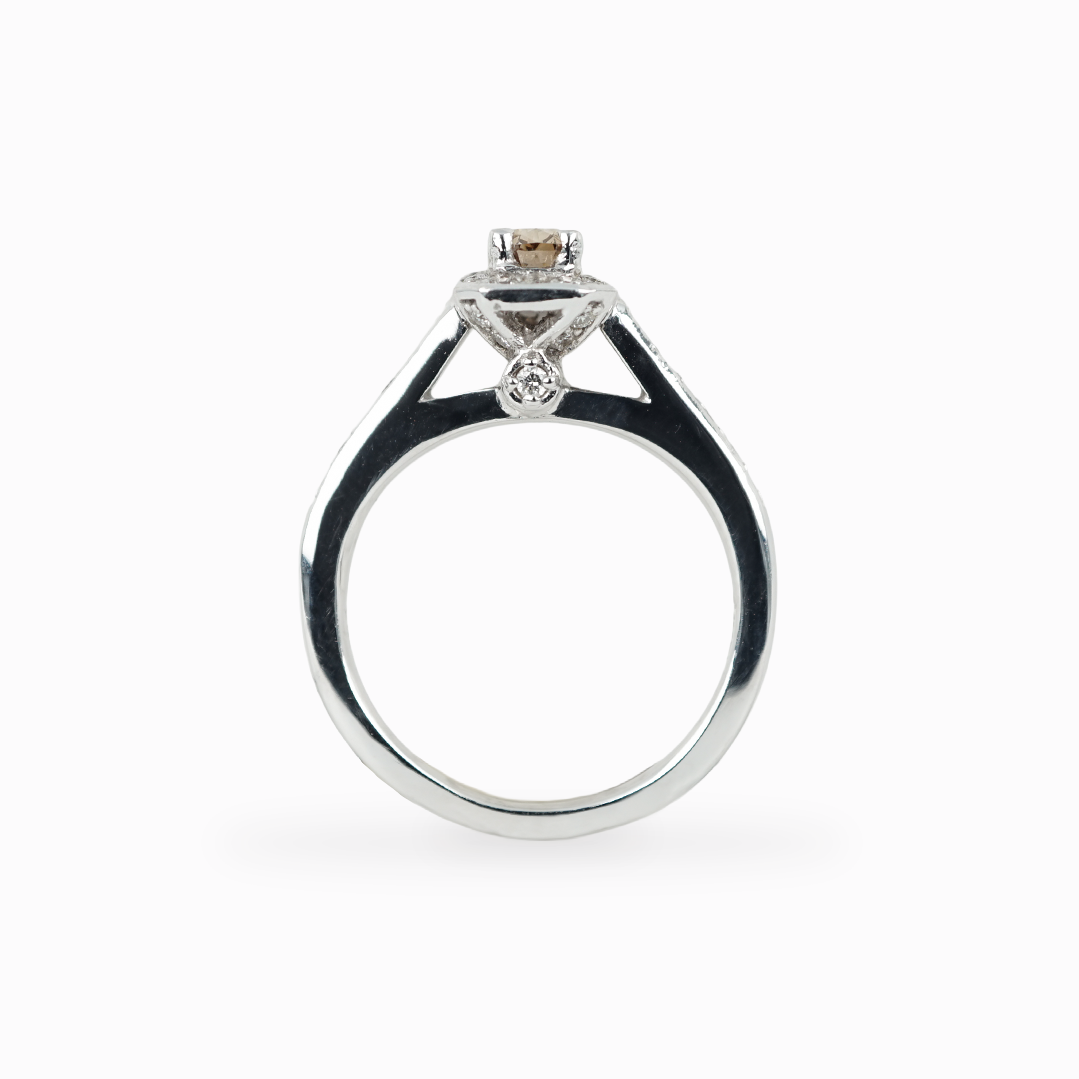 Elongated Cushion Diamond Ring with Halo