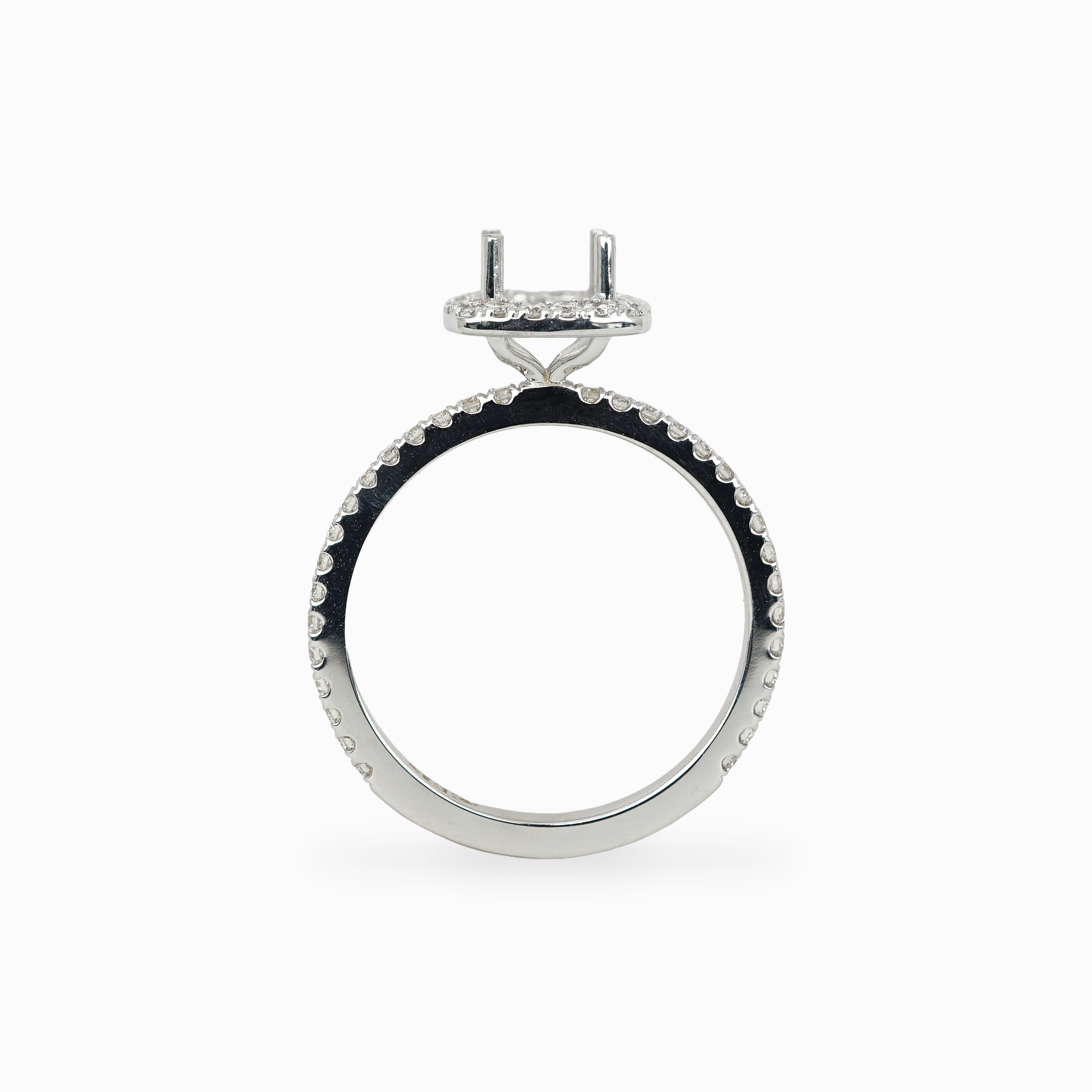 Diamond Halo Setting with Pavé Band